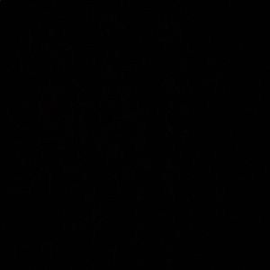 Meet your Posher, Jovani